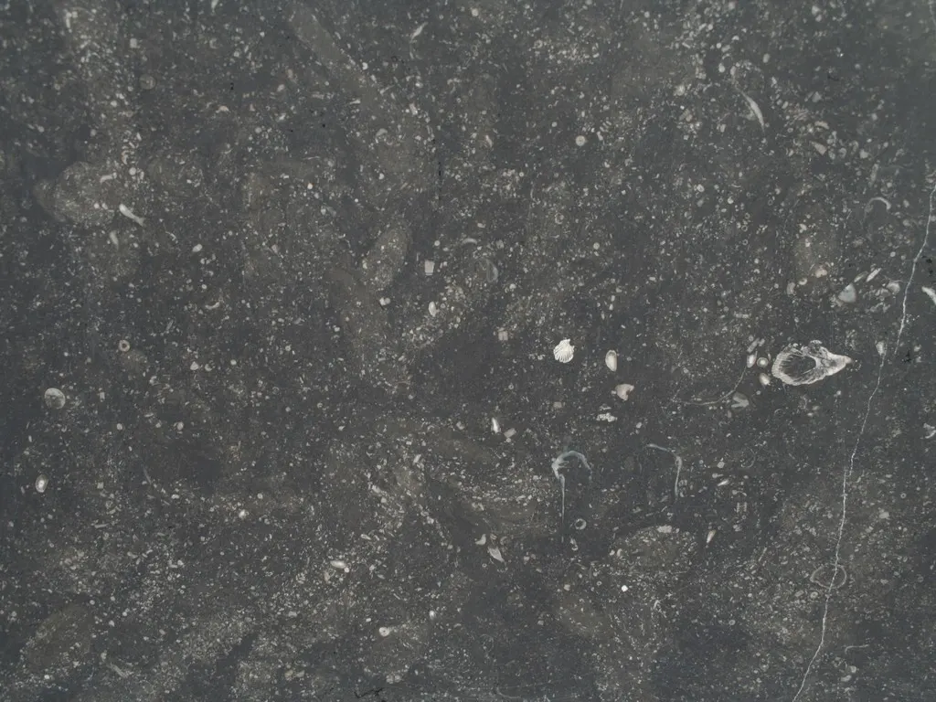Belgian Blue Stone marble slab surface – Marmi di Carrara – charcoal, green (1)