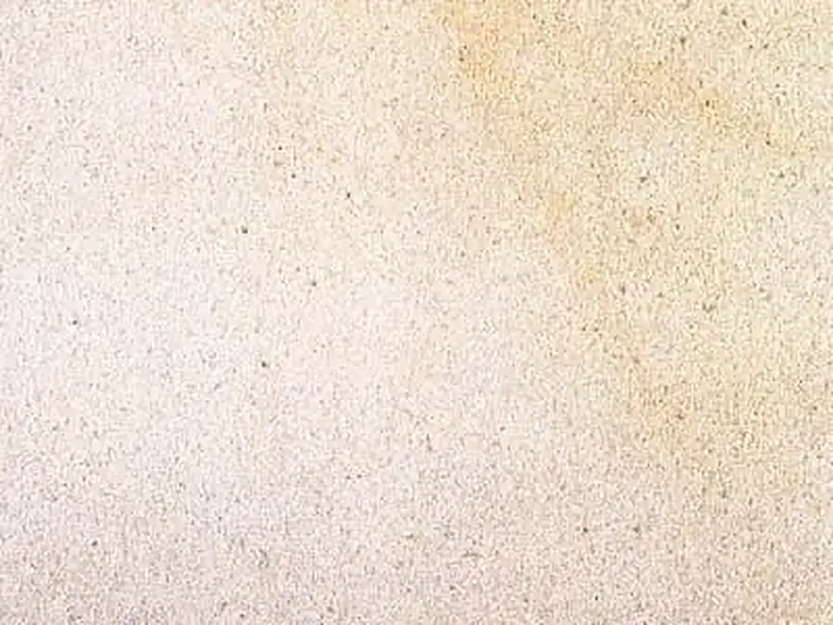 Bentheim sandstone polished sample – Marmi di Carrara – ivory, white (1)