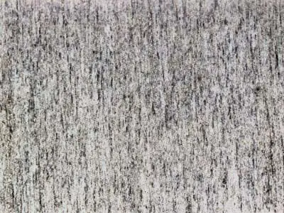 Beola Bianca granit, échantillon poli – Marmi di Carrara – gris clair, gris (2)