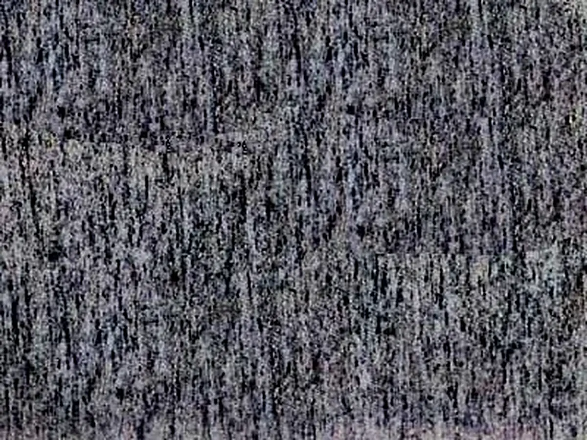Beola Grigia granito, muestra pulida – Marmi di Carrara – antracita, verde (1)