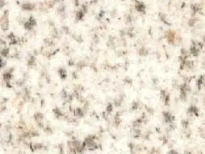 Bethel White Granit, polierte Probe – Marmi di Carrara – elfenbein, hellgrau (3)