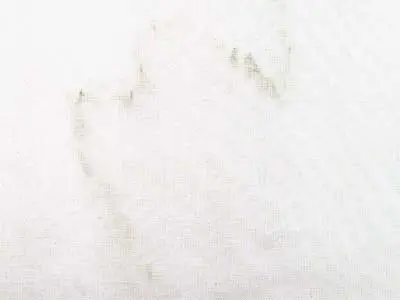 Bianco Arni marble polished sample – Marmi di Carrara – white (1)