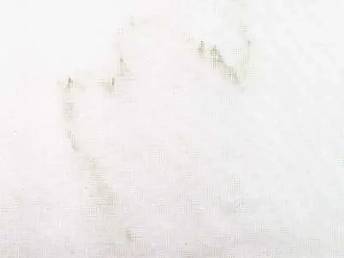 Bianco Arni marble polished sample – Marmi di Carrara – white (1)
