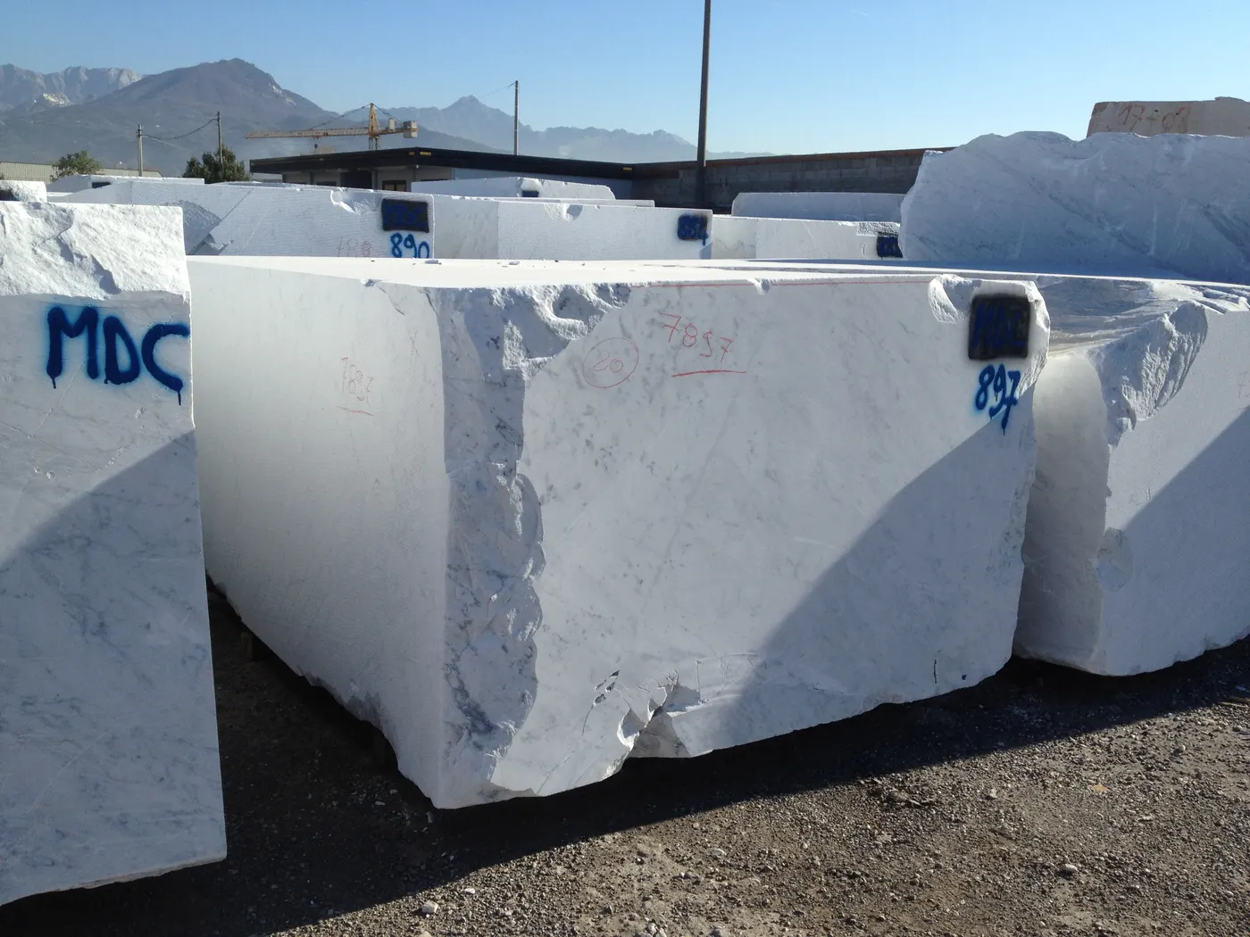 Bianco Carrara мрамор, поверхность плиты – Marmi di Carrara – фиолетовый, серый (22)