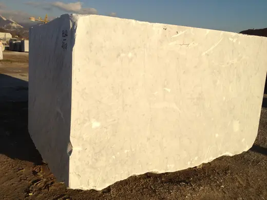 Bianco Carrara marble slab surface – Marmi di Carrara – ivory, black (39)