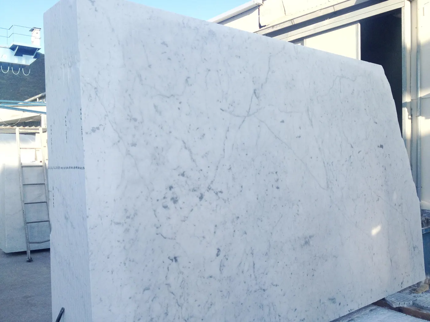Bianco Carrara C мрамор, поверхность плиты – Marmi di Carrara – светло-серый, серый (6)