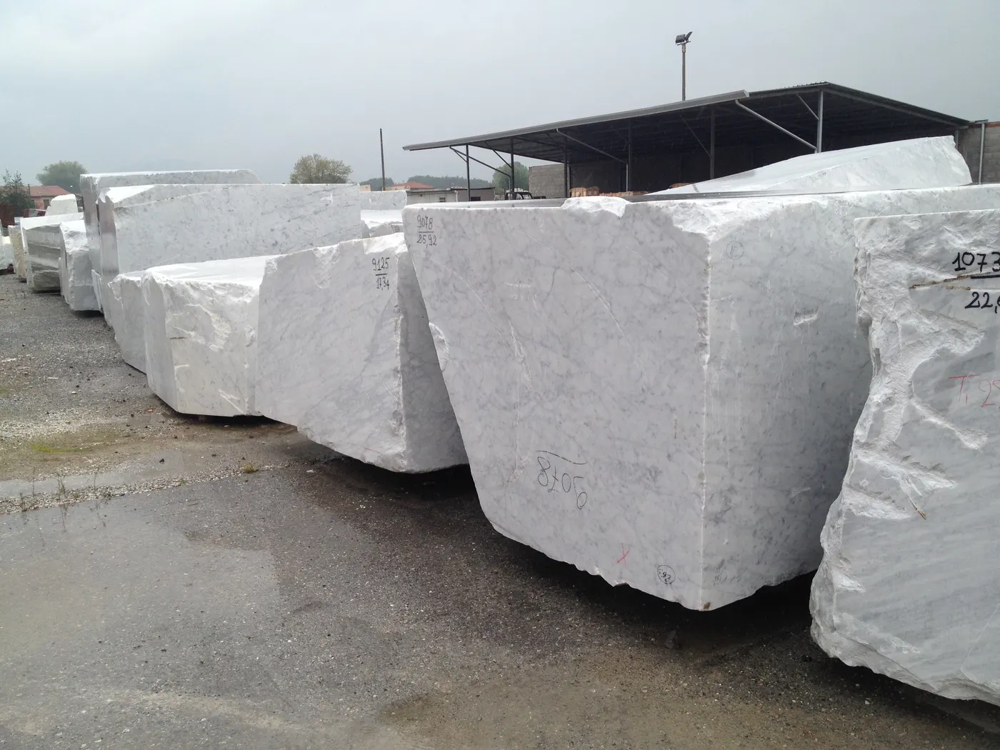 Bianco Carrara CD мрамор, поверхность плиты – Marmi di Carrara – светло-серый, серый (7)
