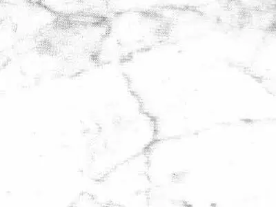 Bianco Carrara Venato Gioia мрамор