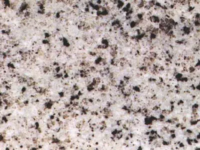 Bianco Dolomiti granit, échantillon poli – Marmi di Carrara – gris clair, beige (1)