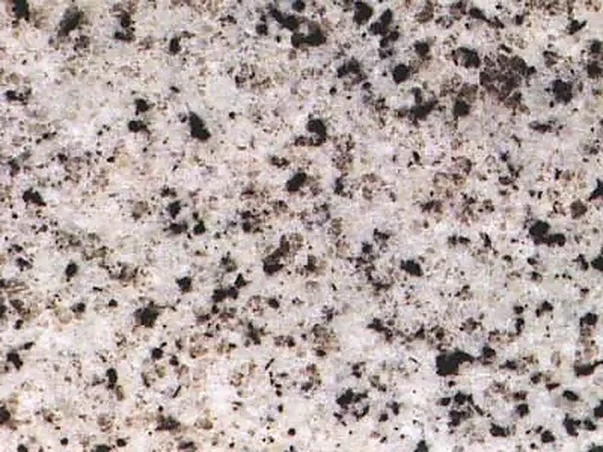 Bianco Dolomiti granit, échantillon poli – Marmi di Carrara – gris clair, beige (1)