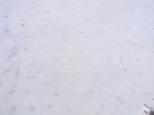 Bianco Gioia marble slab surface – Marmi di Carrara – ivory, white (62)