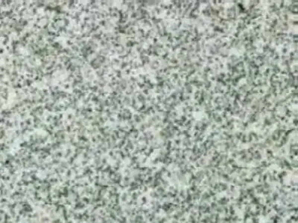 Bianco Grigio G 3503 granito, muestra pulida – Marmi di Carrara – gris claro, gris (1)