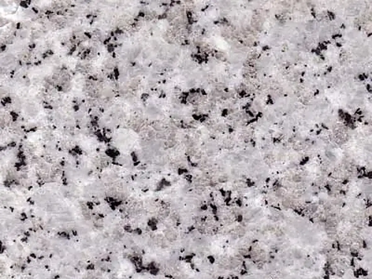 Bianco Monte Carlo Granit, polierte Probe – Marmi di Carrara – hellgrau, grau (1)