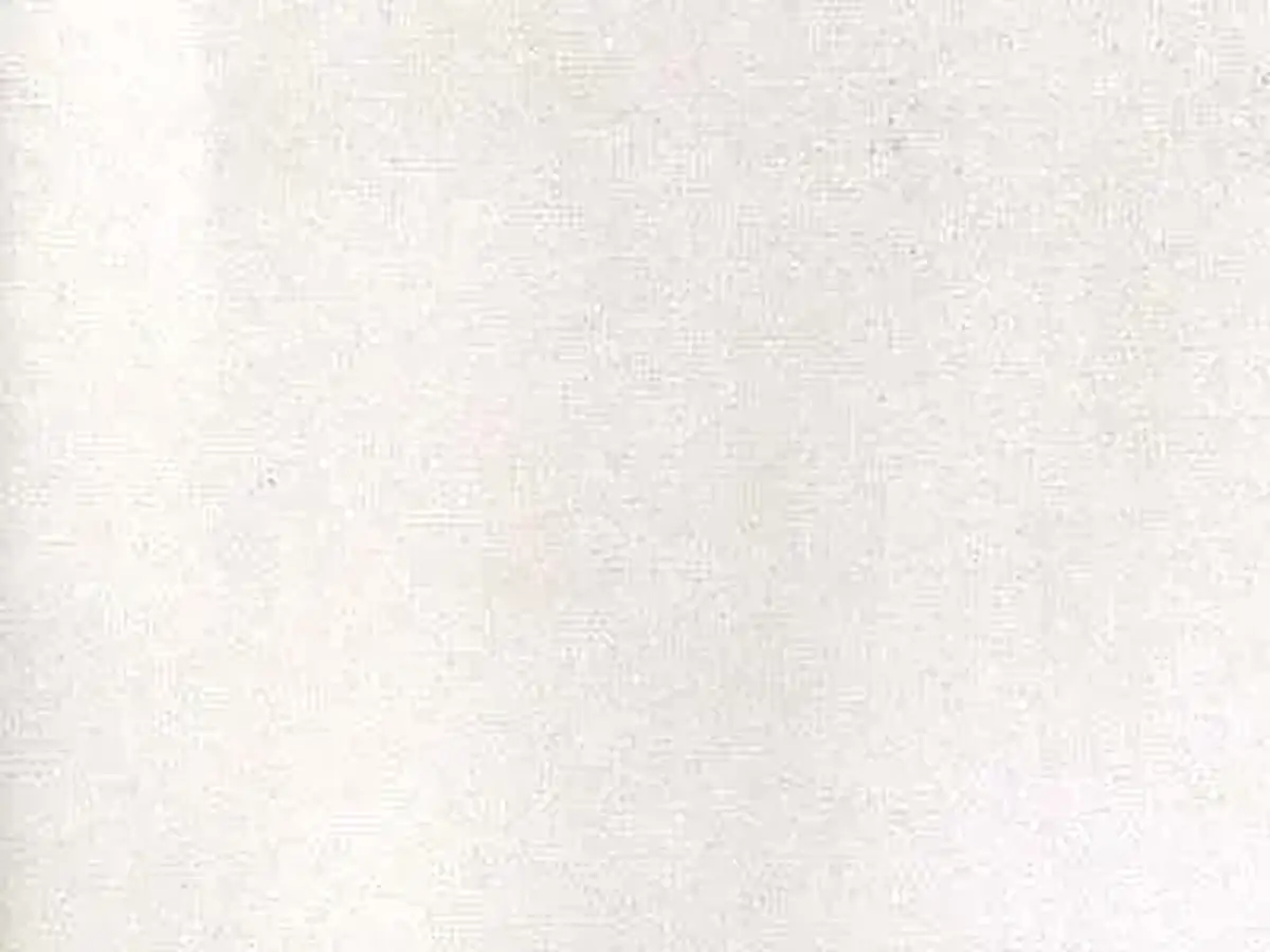 Bianco Royal marble polished sample – Marmi di Carrara – white (1)