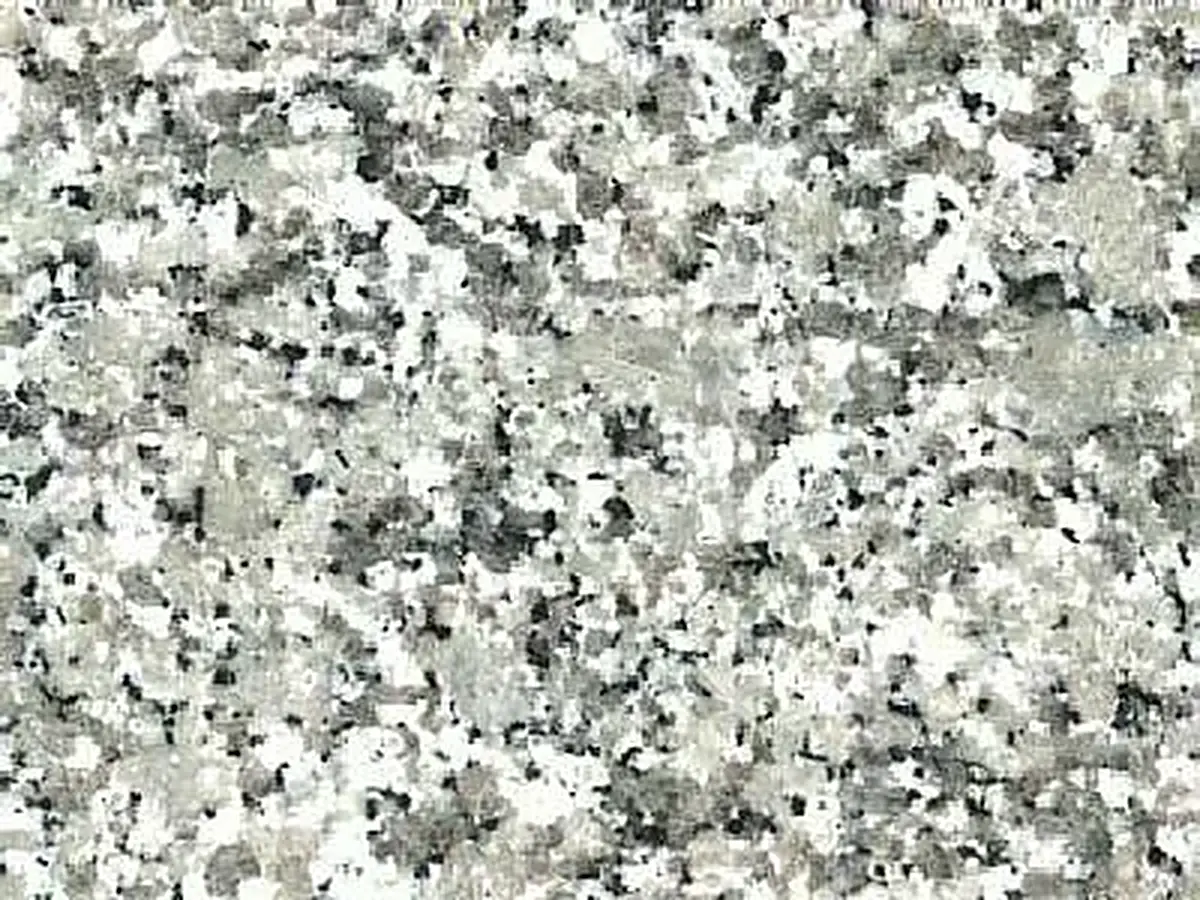 Bianco Sardo granit, échantillon poli – Marmi di Carrara – gris clair, gris (1)