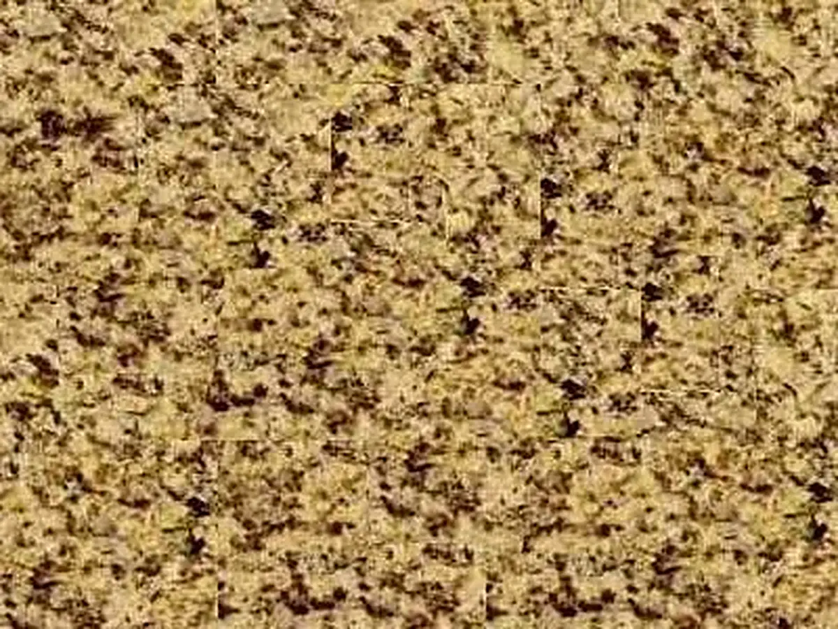 Bignan Jaune granit, échantillon poli – Marmi di Carrara – doré, brun (1)