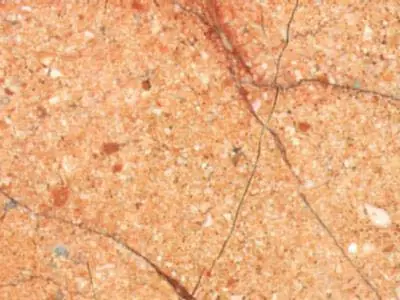 Bilecik Pembesi limestone