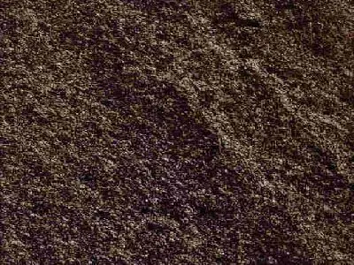 Black Mica quartzite