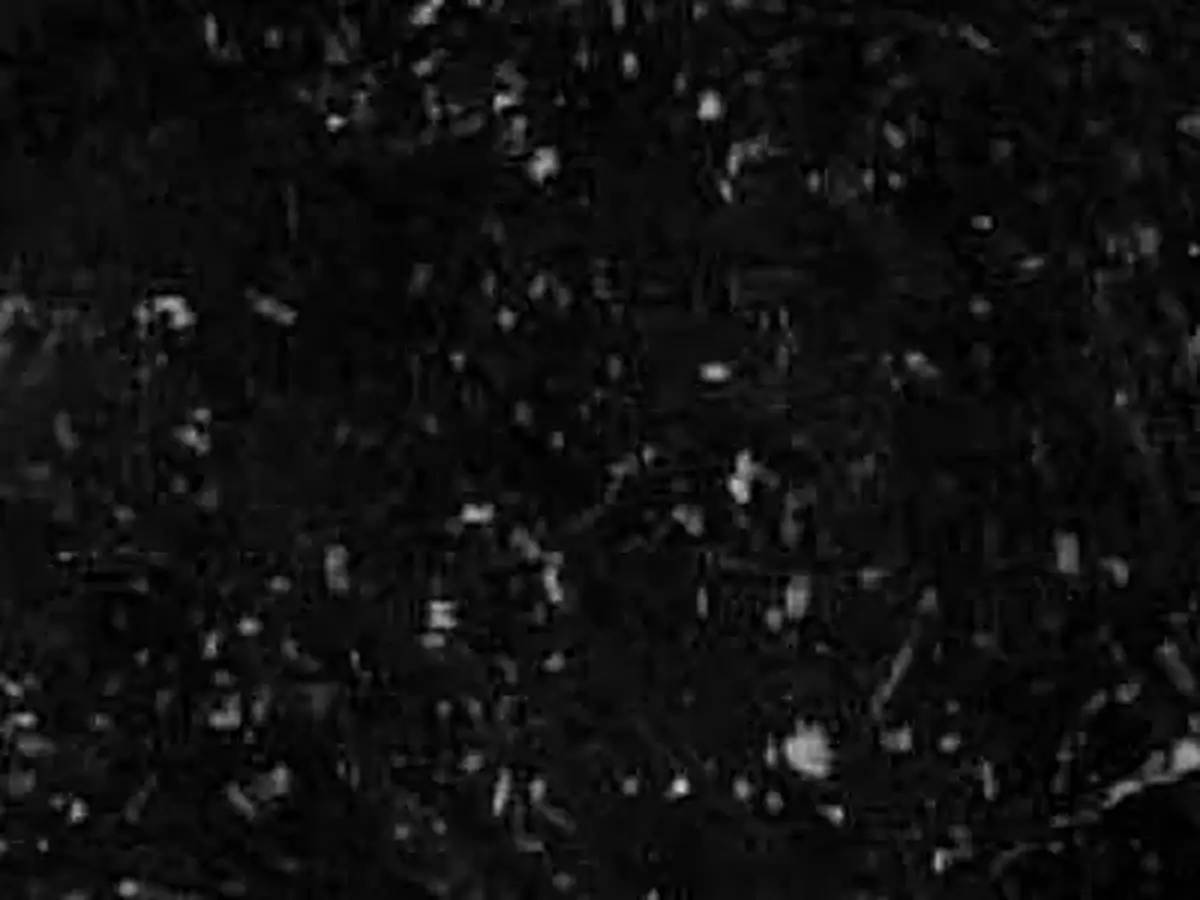 Black Porphyry slate polished sample – Marmi di Carrara – black (1)