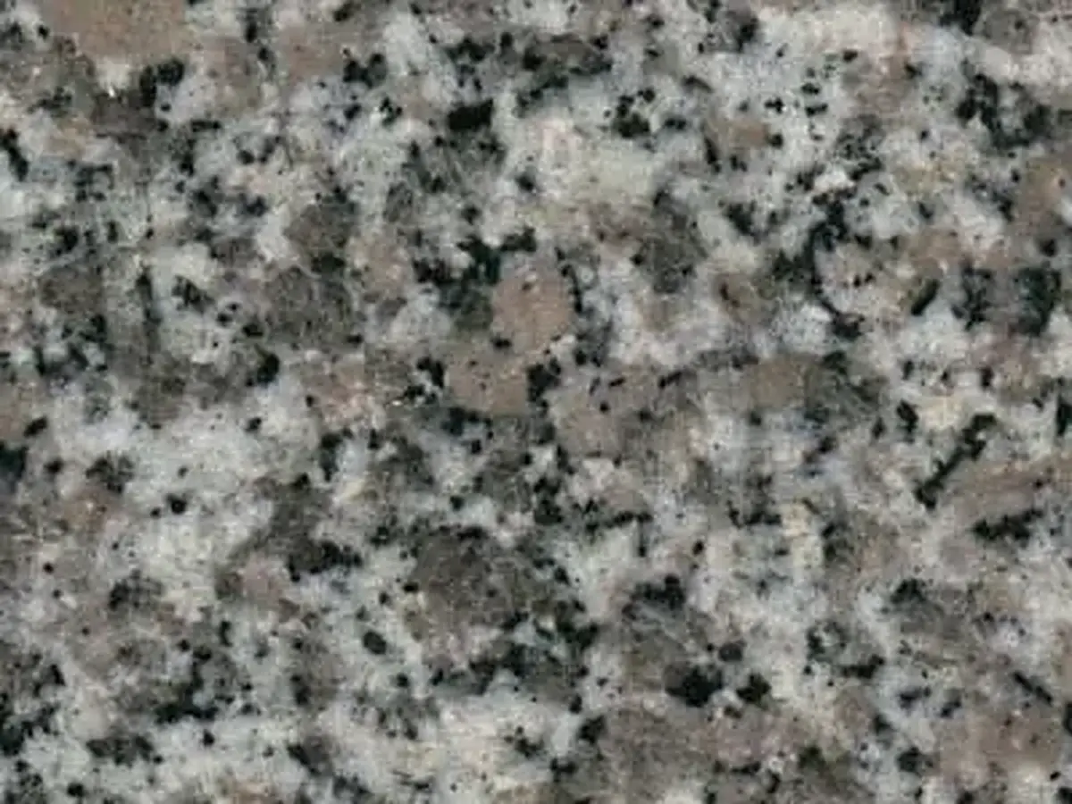 Blanco Acapulco granite polished sample – Marmi di Carrara – grey, green (1)