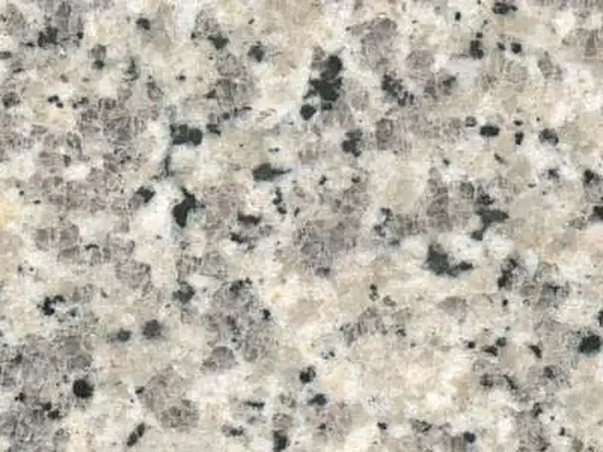 Blanco Aurora (Spain) Granit, polierte Probe – Marmi di Carrara – hellgrau, elfenbein (1)