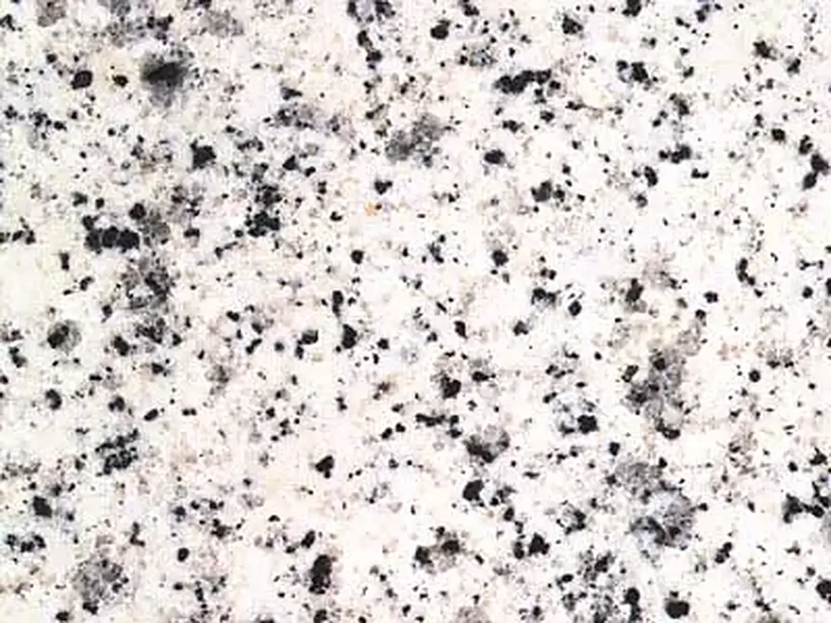 Blanco Castilla granite polished sample – Marmi di Carrara – white, ivory (1)