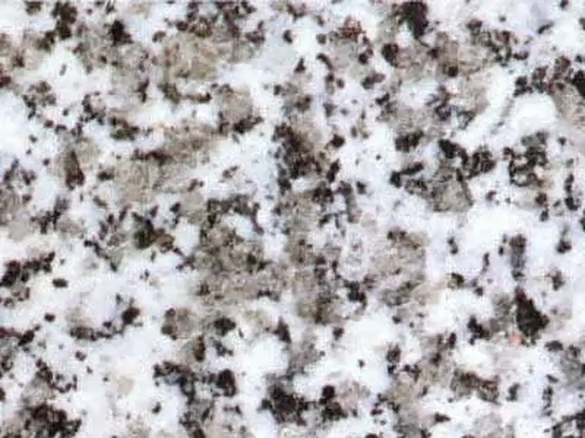 Blanco Perla granit, échantillon poli – Marmi di Carrara – gris clair, blanc (1)
