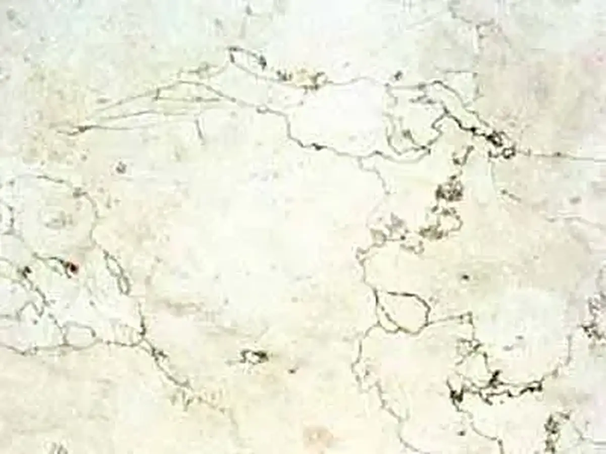 Blanco Perlino calcaire, échantillon poli – Marmi di Carrara – blanc, ivoire (1)