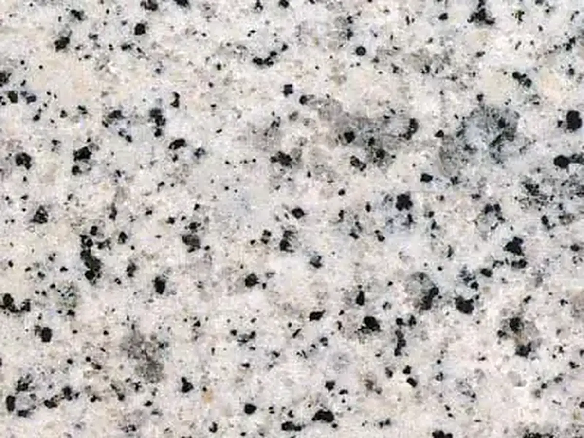 Blanco Rafaela granit, échantillon poli – Marmi di Carrara – ivoire, gris clair (1)