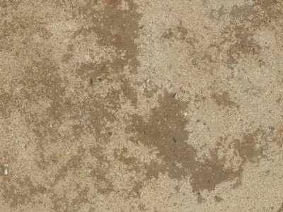 Bonifacio limestone