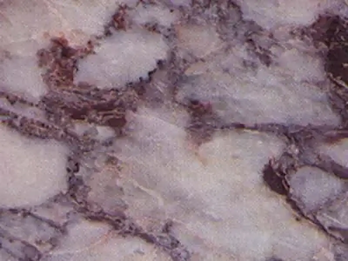 Bordo Grizo mármol, muestra pulida – Marmi di Carrara – violeta, gris (1)