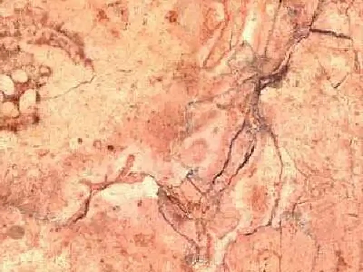 Botcino limestone polished sample – Marmi di Carrara – pink, beige (1)