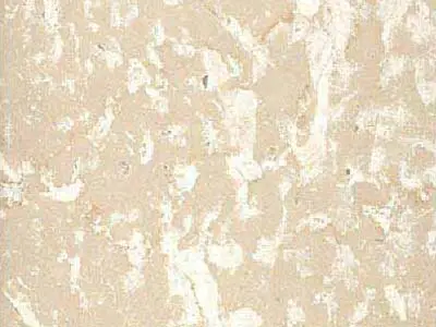 Botticino Fiorito limestone polished sample – Marmi di Carrara – ivory, light grey (2)