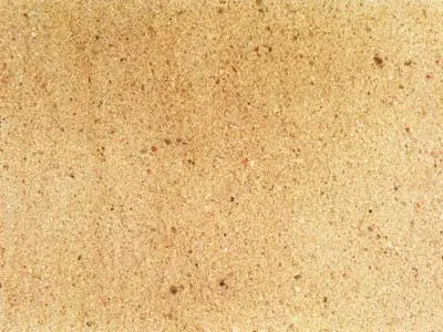 Bozanov sandstone polished sample – Marmi di Carrara – beige, gold (1)
