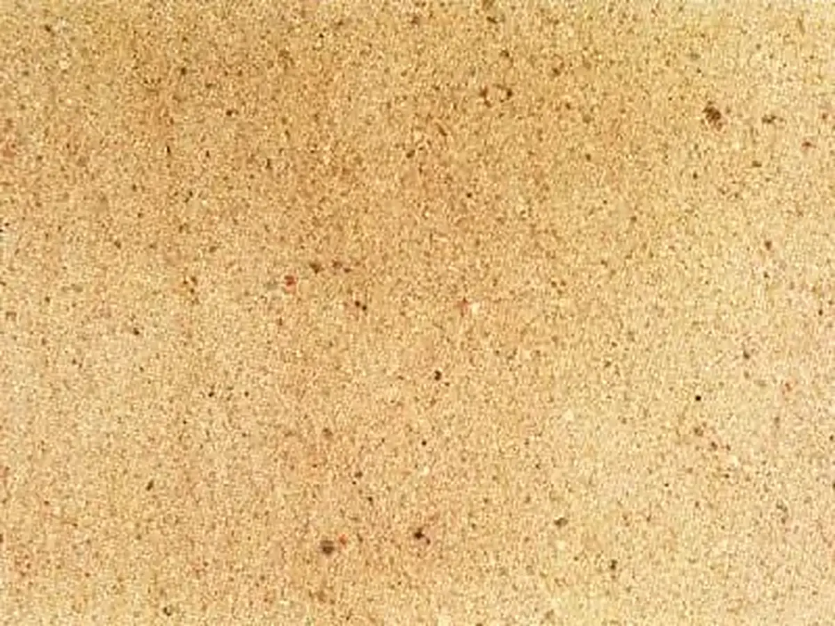 Bozanov sandstone polished sample – Marmi di Carrara – beige, gold (1)
