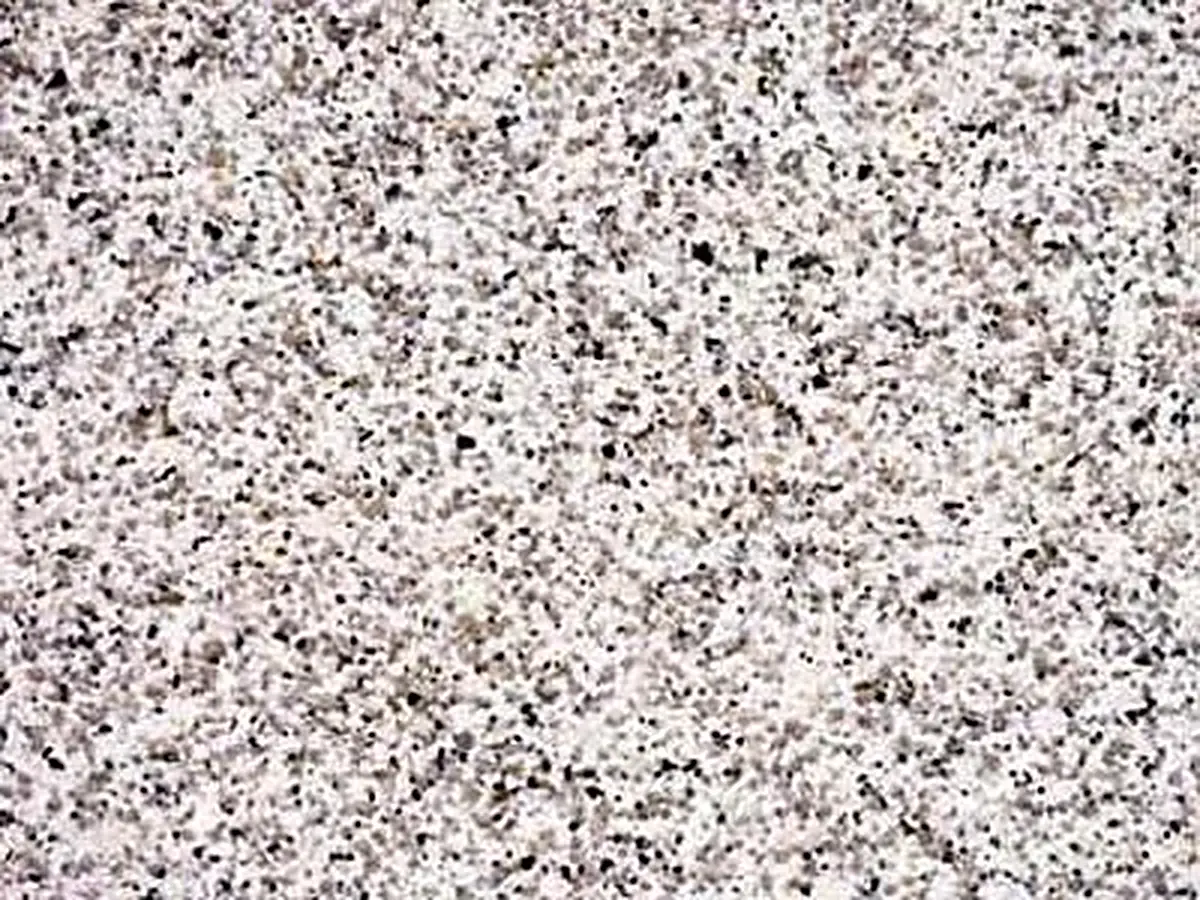 Branco Cristal Granit, polierte Probe – Marmi di Carrara – hellgrau, elfenbein (1)