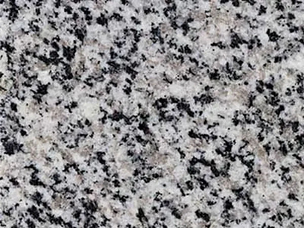 Branco Dalmata granito, campione lucido – Marmi di Carrara – grigio, grigio chiaro (1)