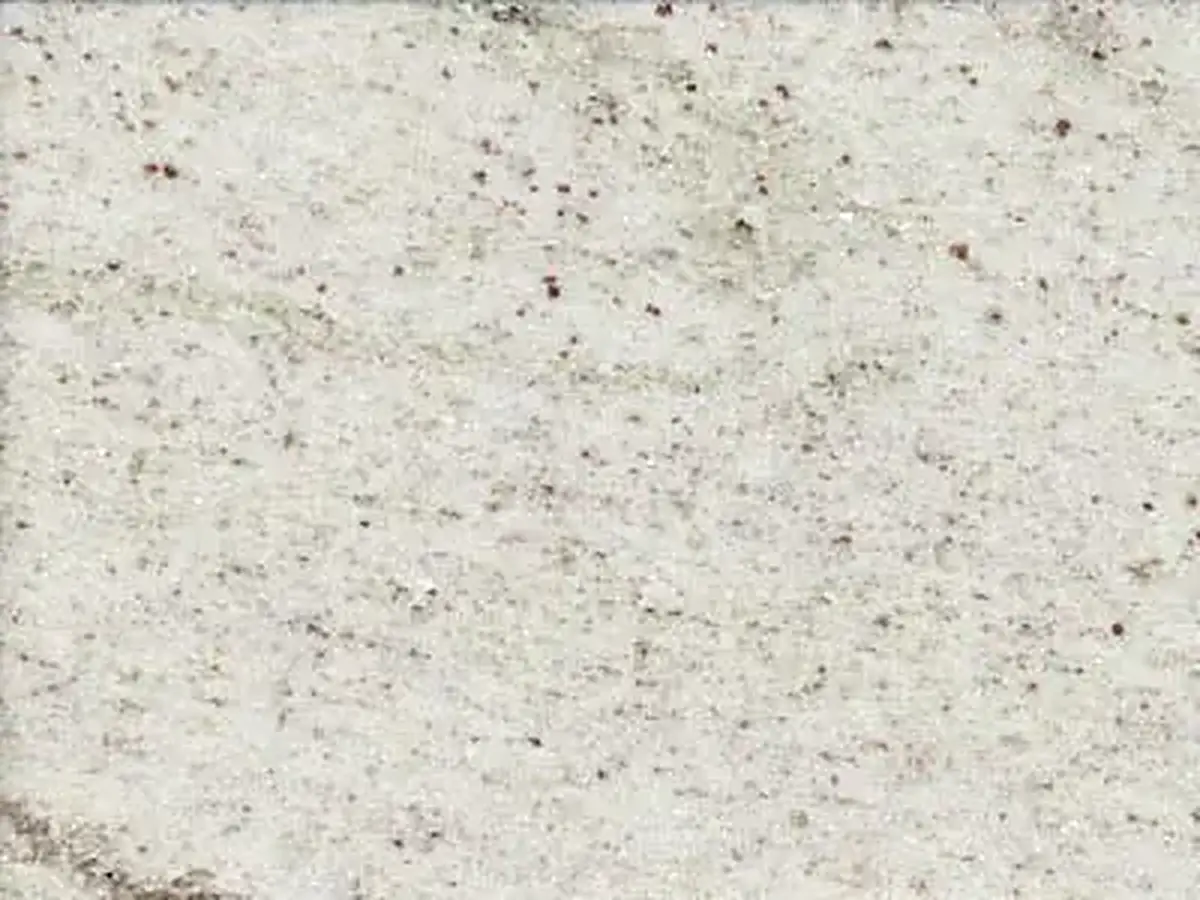 Branco Polar granit, échantillon poli – Marmi di Carrara – ivoire, gris clair (1)