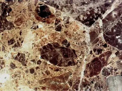 Breccia Paradiso limestone