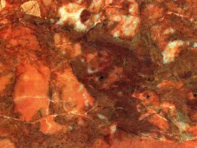 Breccia Pernice breccia polished sample – Marmi di Carrara – gold, rust red (2)