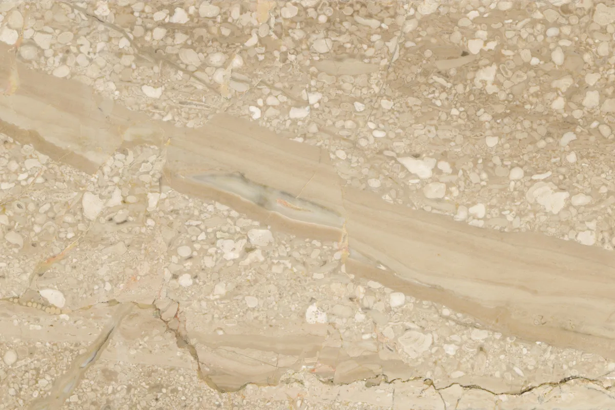 Breccia Sarda calcaire, échantillon poli – Marmi di Carrara – beige, ivoire (1)