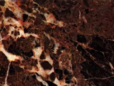 Breche Nouvelle limestone