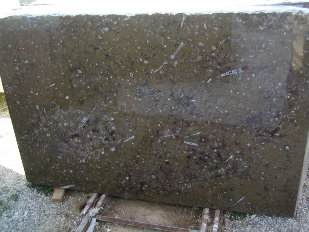 Brown Fossile marmo, superficie di lastra – Marmi di Carrara – antracite, verde (1)