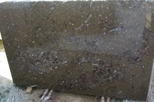 Brown Fossile marmo, superficie di lastra – Marmi di Carrara – antracite, verde (2)