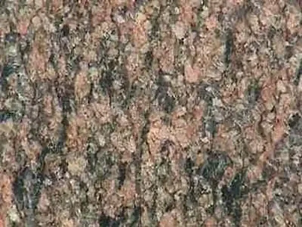 Brown Qussair Granit, polierte Probe – Marmi di Carrara – grau, grün (1)