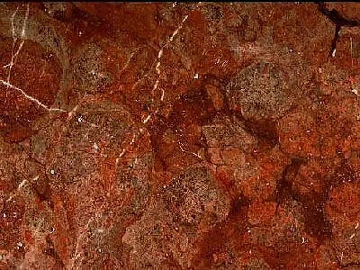 Brown-Red of Fanari calcaire, échantillon poli – Marmi di Carrara – rouge rouille, brun (1)