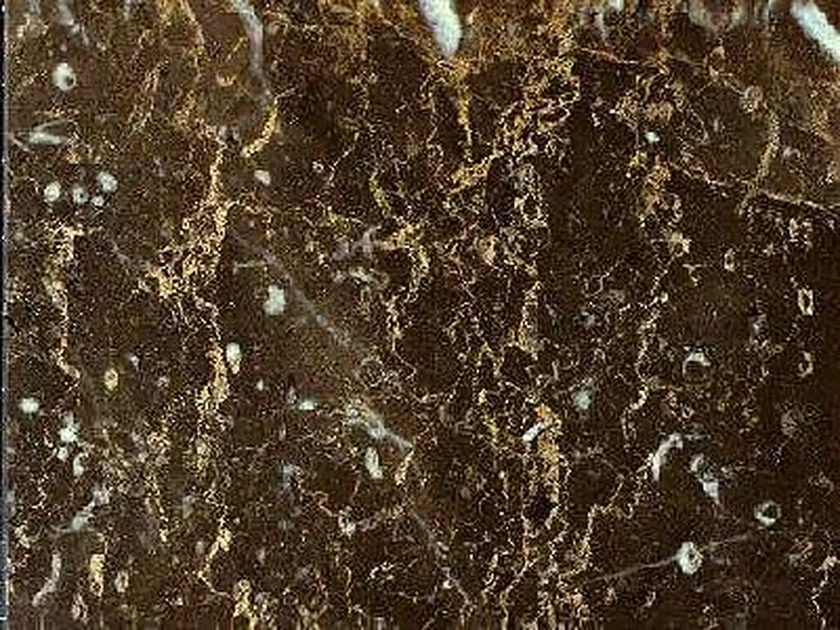 Brownish of Chios limestone polished sample – Marmi di Carrara – brown, black (1)