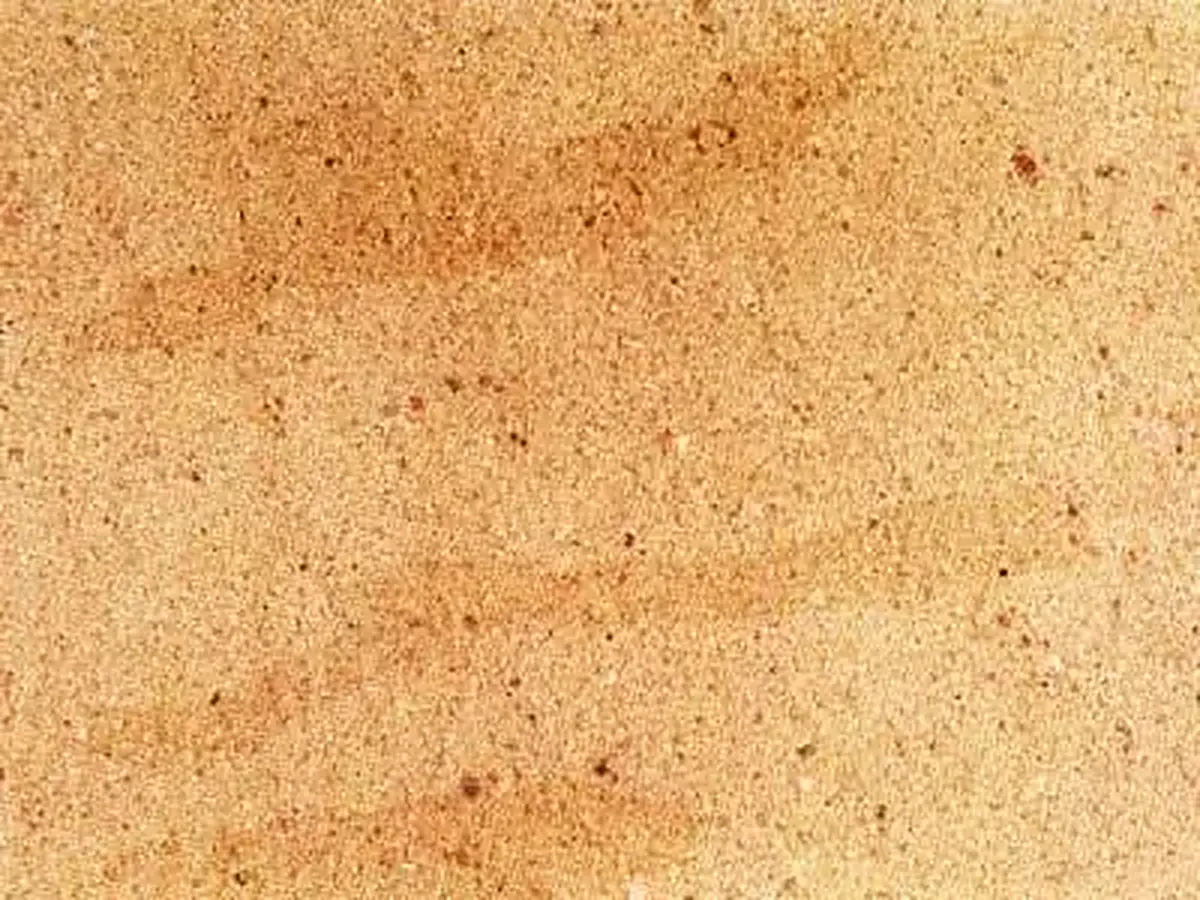 Buch Sandstein, polierte Probe – Marmi di Carrara – beige, gold (1)