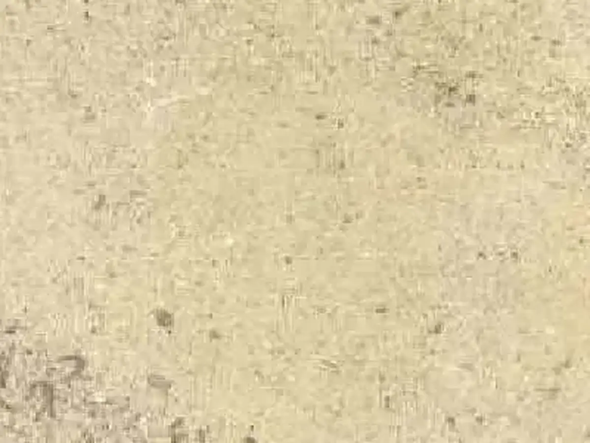 Burdale calcare, campione lucido – Marmi di Carrara – beige, avorio (1)