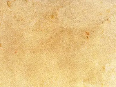 Burgpreppach sandstone polished sample – Marmi di Carrara – beige, ivory (1)